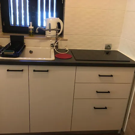 Appartement Otasevic Kranjska Gora