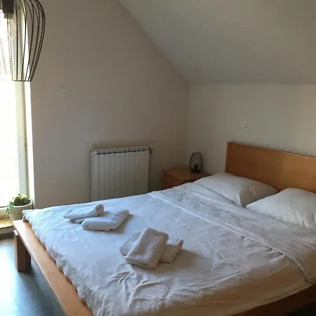 Apartment Otasevic *