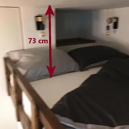Otasevic Apartment