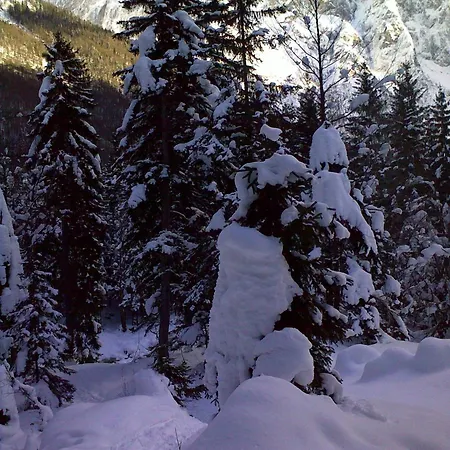 Апартаменты Otasevic