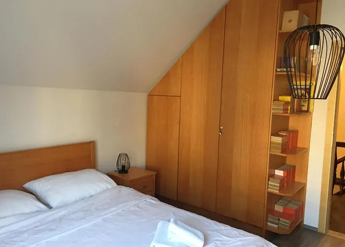 Otasevic * Kranjska Gora